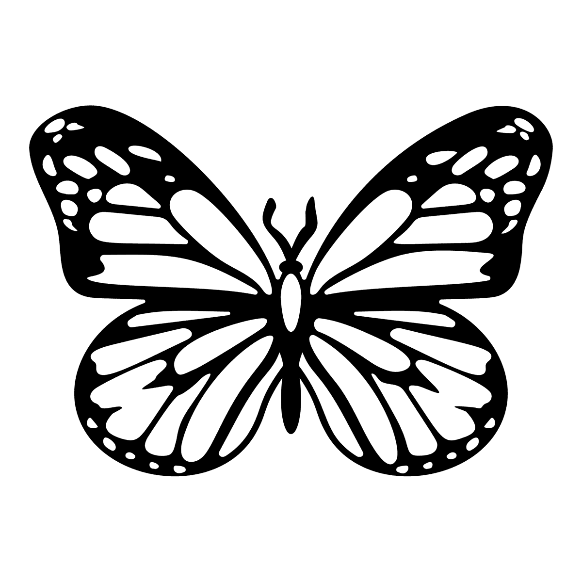 Organische vlinder 30 cm, zwart