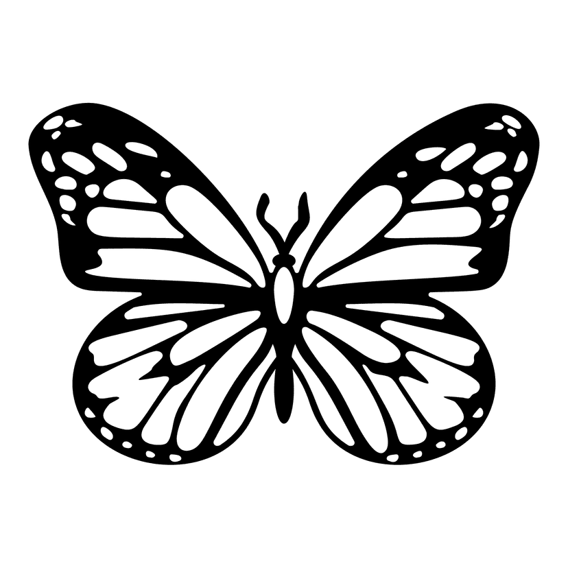 Organische vlinder 30 cm, zwart